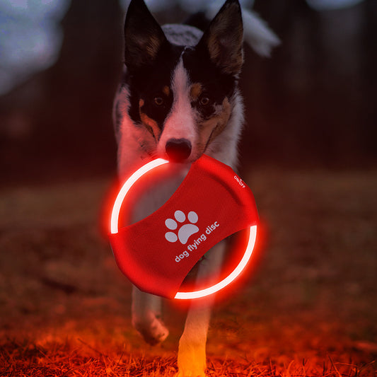 USB Rechargeable LED Dog Frisbee - Durable Glow-in-the-Dark Flying Disc for Night Play TMS